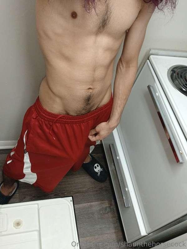 shaunthehorsecock image #4