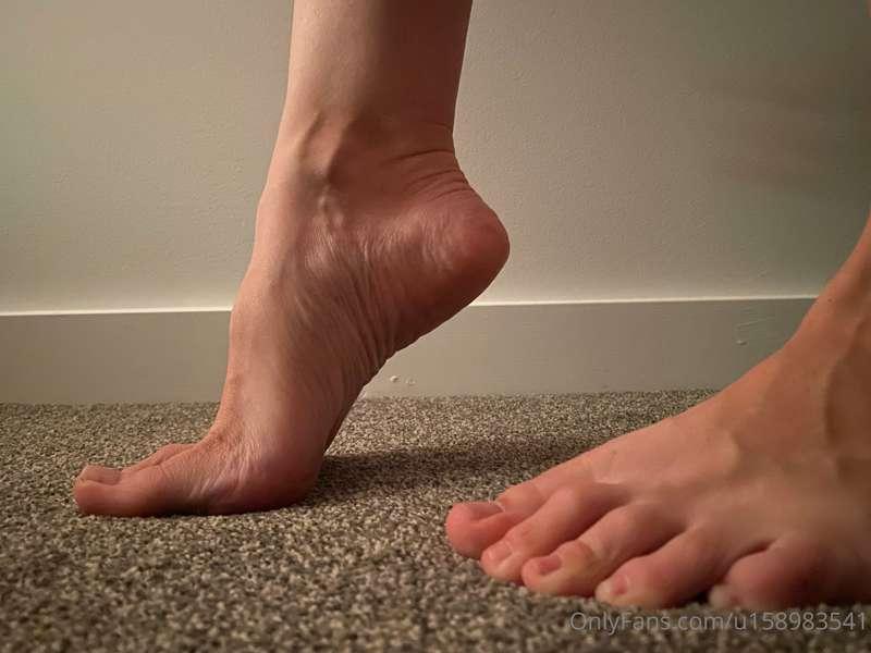 barefootlibran image #0