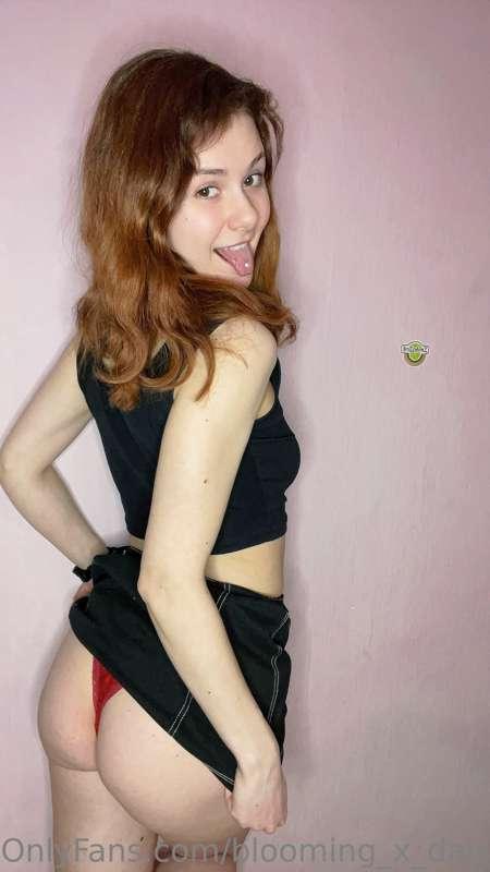 blooming_x_daisy image #0