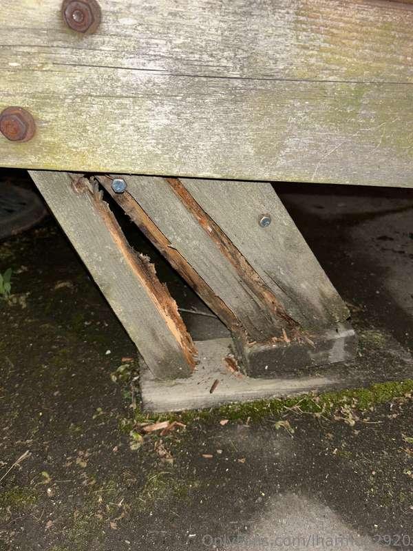 Moments later I broke this picnic table! lol what a mileston..