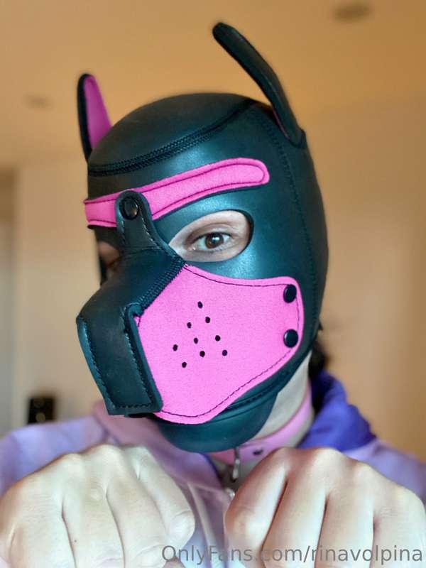 A puppy is for life, not just for Christmas! 🐾

Speaking of ..