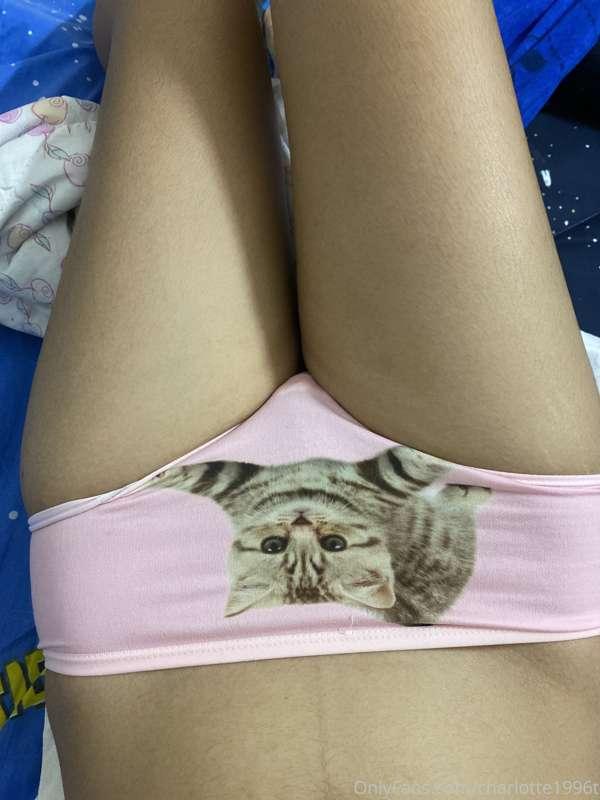 Are you a cat lover ? 🐈