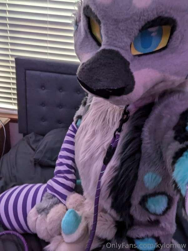May not have been able to go to MFF but still made sure to h..