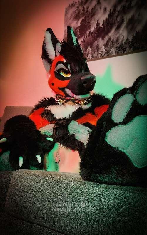 Fursuit coochie 😘