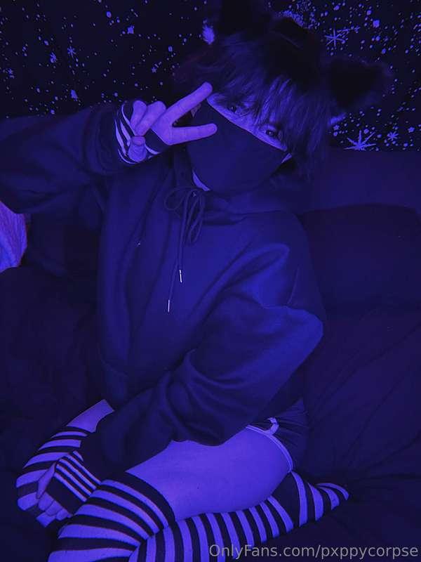 pxppycorpse image #1
