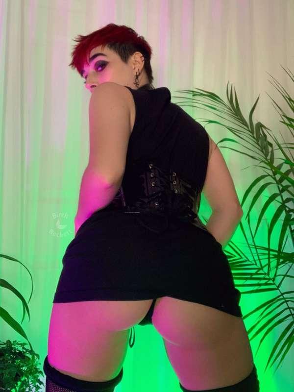 birchbeckett image #1