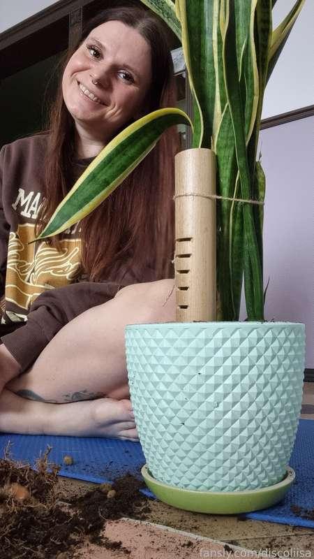 discoliisa image #3