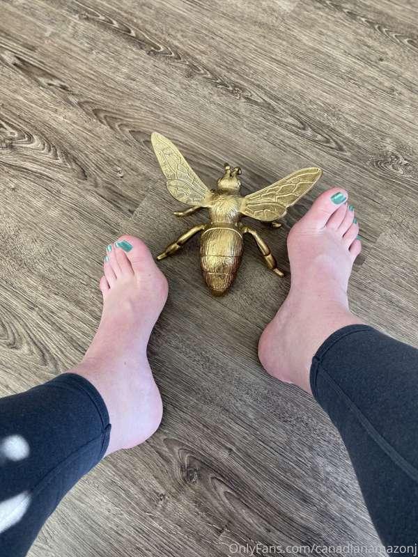 This lucky bee got the pleasure of feeling the bottom of the..