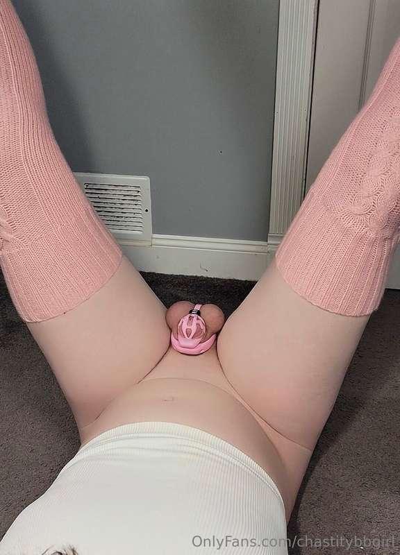 chastitybbgirl image #0