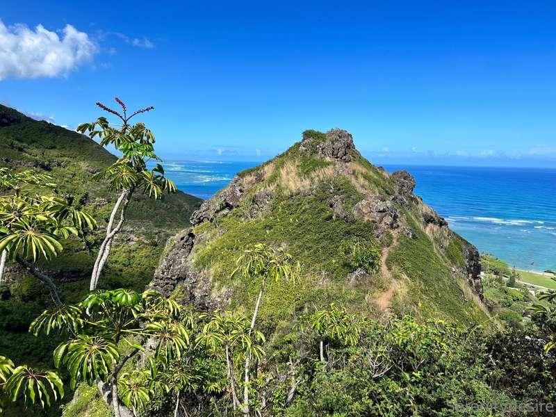 serenitydesirexo image #2