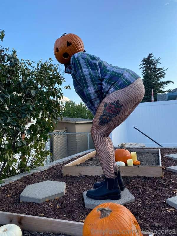 🎃🎃🎃