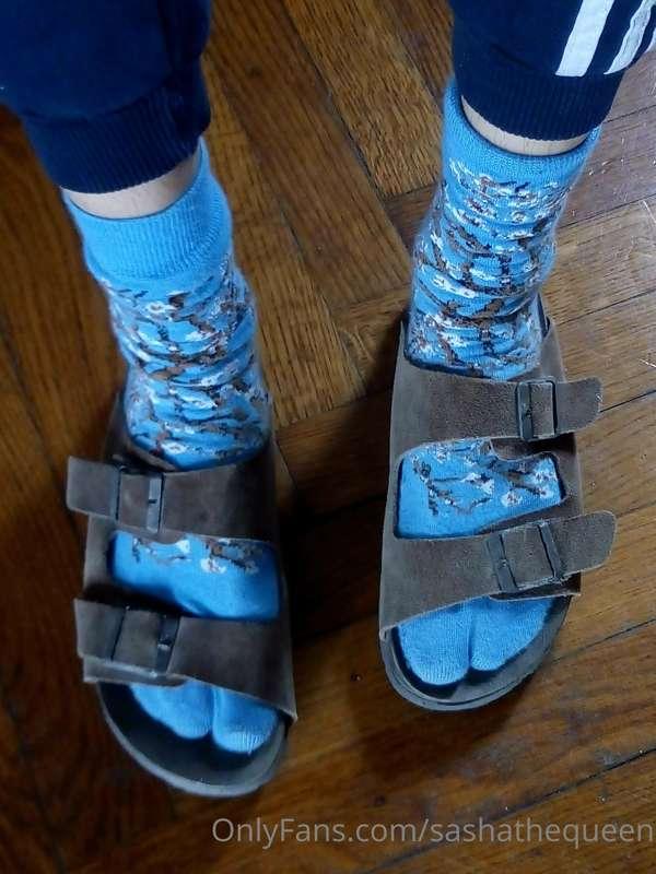 good morning everyone here
oh its this time of the year!!
wh..