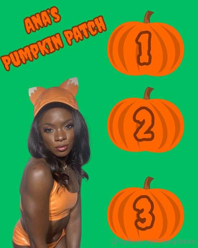 🍃🎃 ANA’S PUMPKIN PATCH 🎃🍃 Pick a pumpkin and reveal some ver..