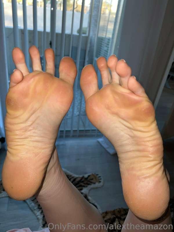 alextheamazon image #1