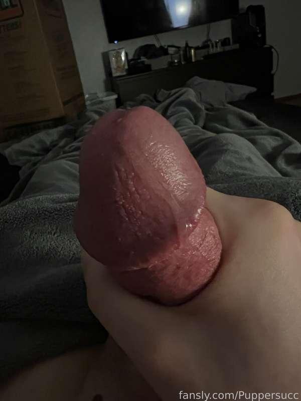 puppersucc image #46