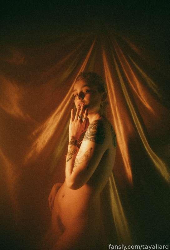 tayallard image #3