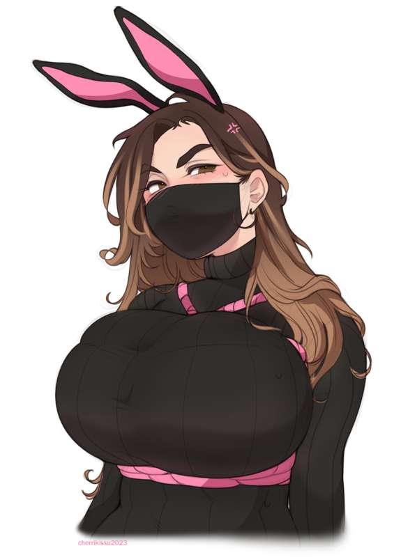 year of the rabbit persona hd