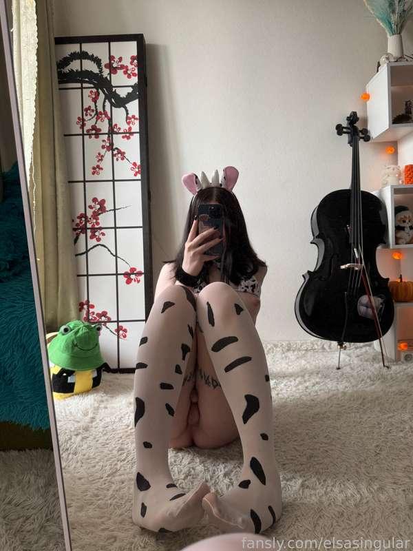 elsasingular image #4