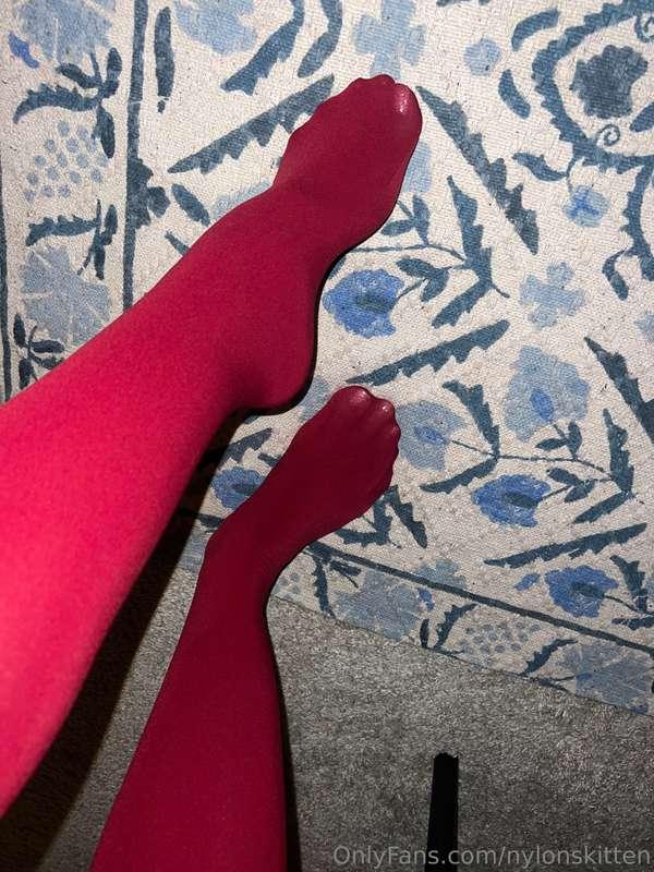 nylonskitten image #9
