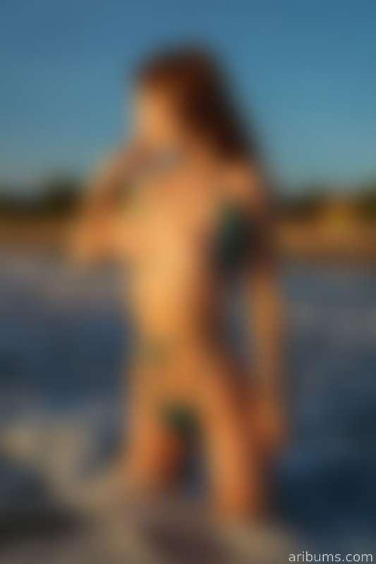 ari_pb image #3