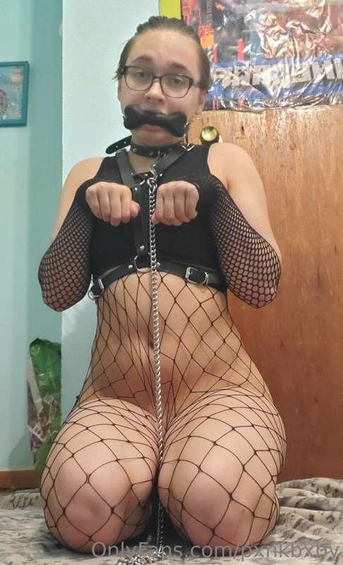 first set of pics! I decided to really lean into petplay wit..