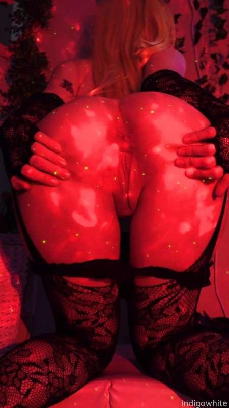 indigowhite image #11