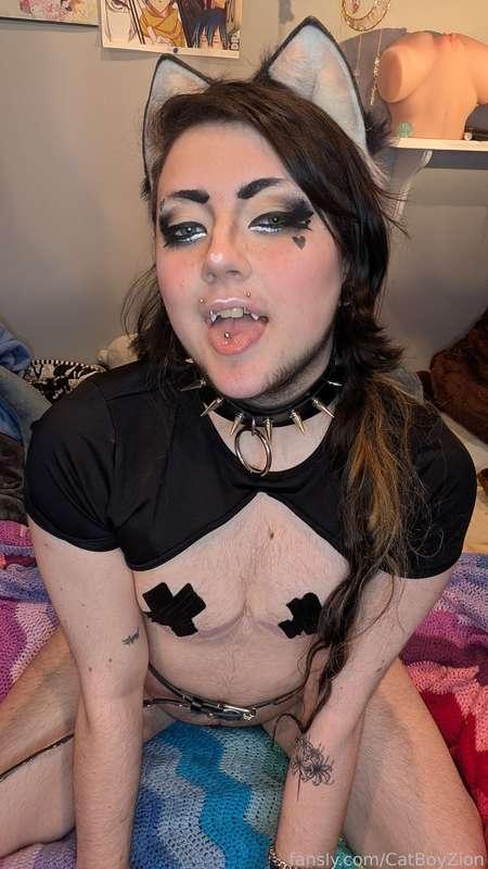 catboyzion image #14