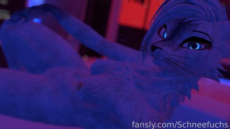 schneefuchs image #0