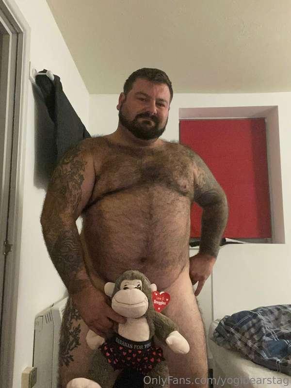 yogibearstag image #0