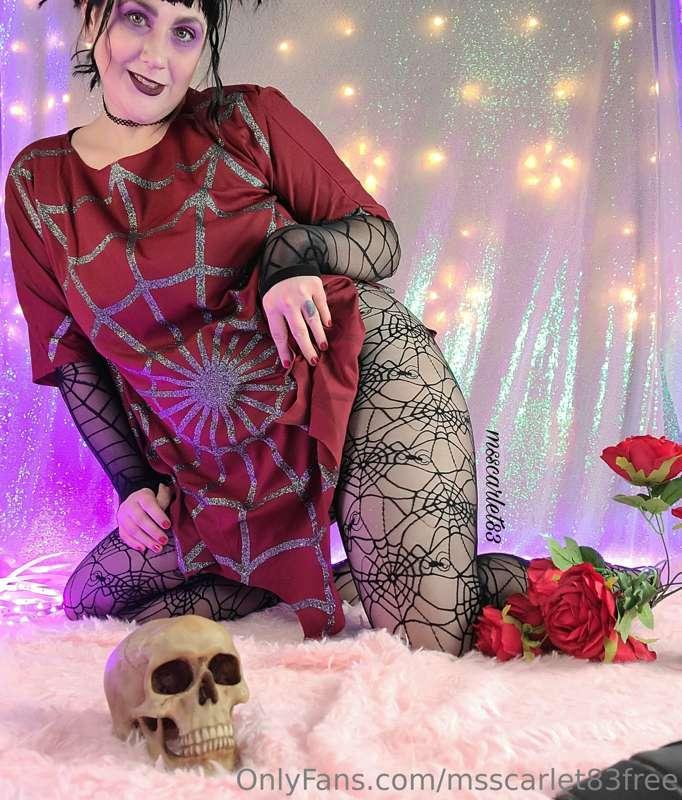 My paid profile is only $6.66 for the rest of this month! Cu..