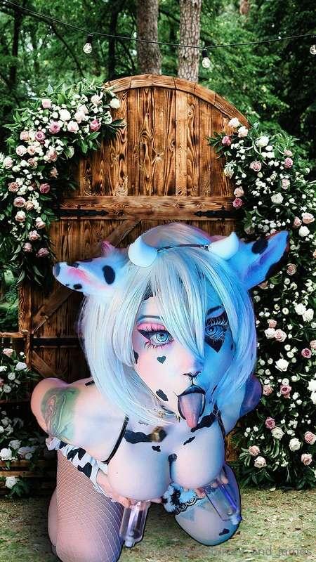 Milk me cow suction cup photos and cosplay