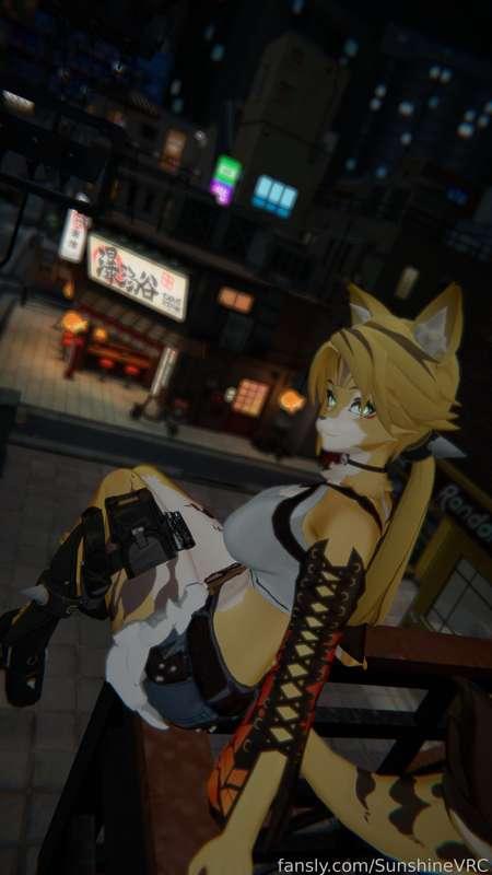 sunshinevrc image #53