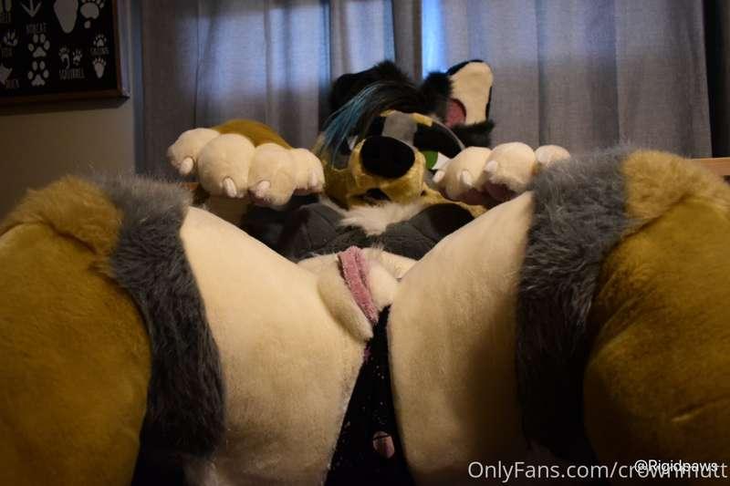 Welcome to this mutts domain, hope you enjoy it here 🥰❤️