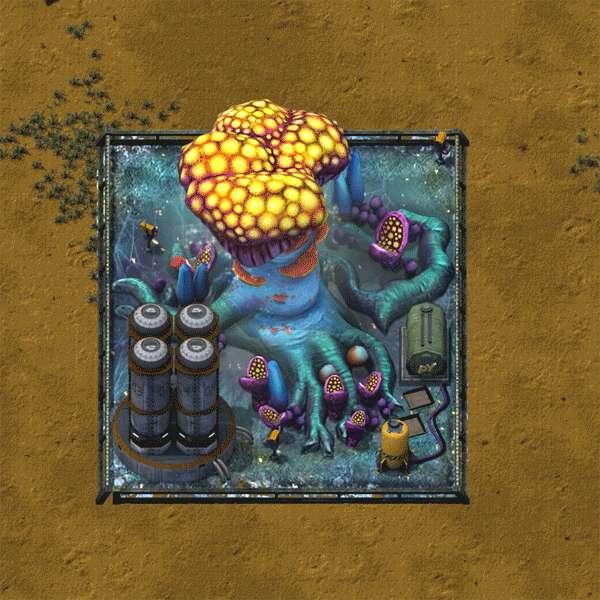 Introducing the Yaedols