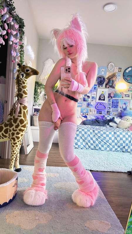 indigowhite image #279