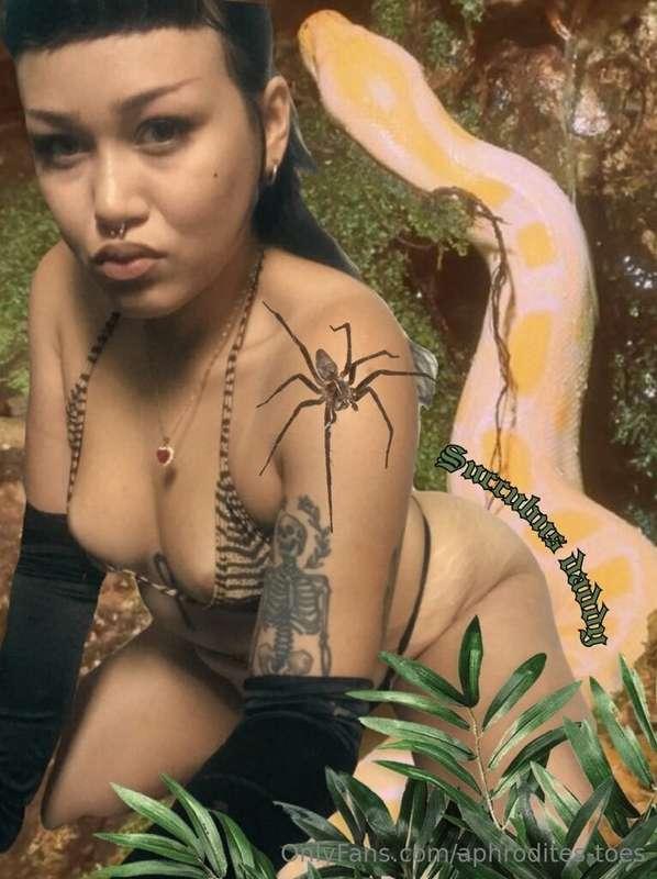 Are you ready to become my prey ?