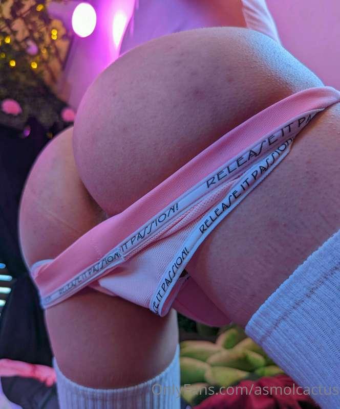 asmolcactus image #4