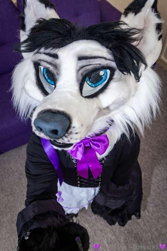 Do you need a paw with that?