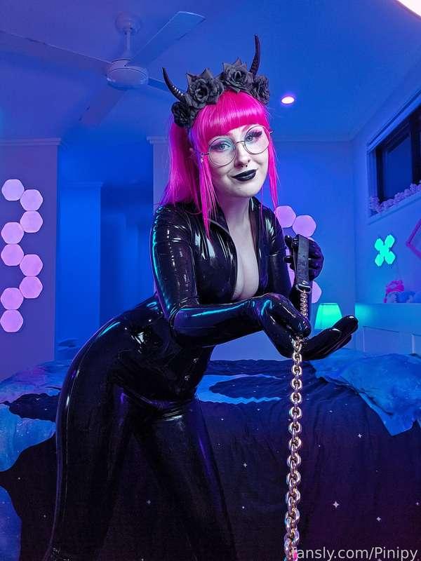 pinipy image #5