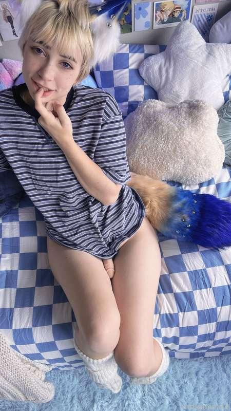 indigowhite image #128