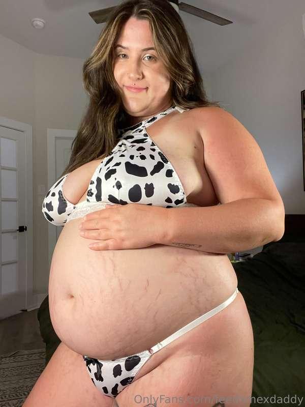 breeding cow