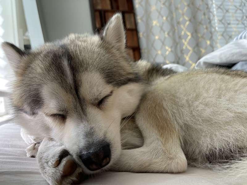Anbu says good morning