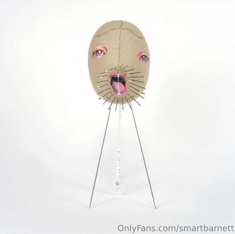 smartbarnett image #3