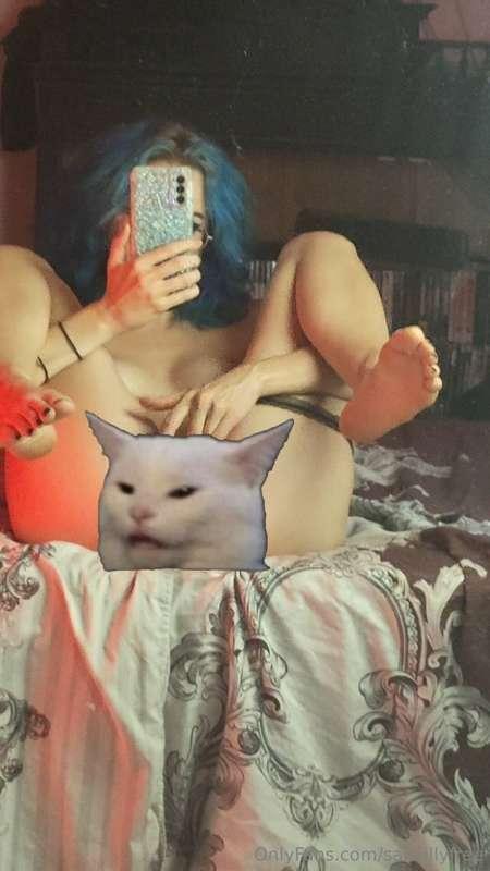 Miaou 🥵

Sans le matou mécontent : @sadsilly_  👈

👉 https://..