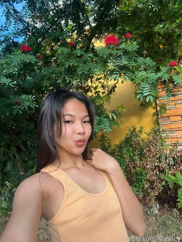 alexicy image #1