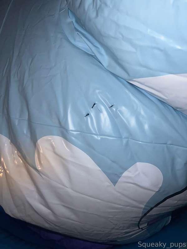 squeaky_pup image #0