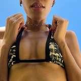 megarotahorny