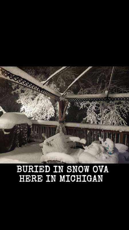 4° here in Winter wonderland 
Thats "PURE MICHIGAN" 🥶😬
Cuddl..