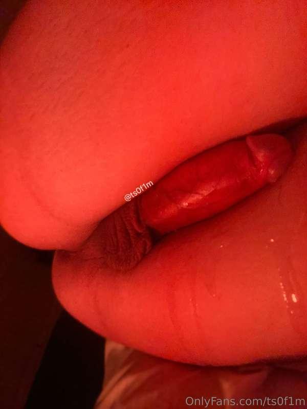 ts0f1m image #3