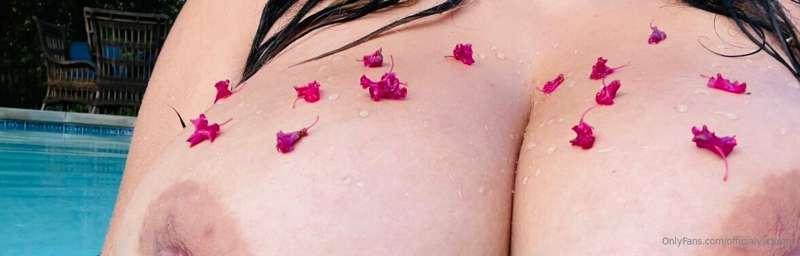 forbiddensphinxxx image #0